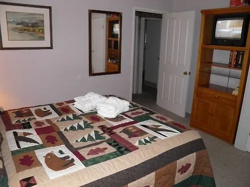 Dom wakacyjny Willa 1347 Chinquapin Dr South Lake Tahoe